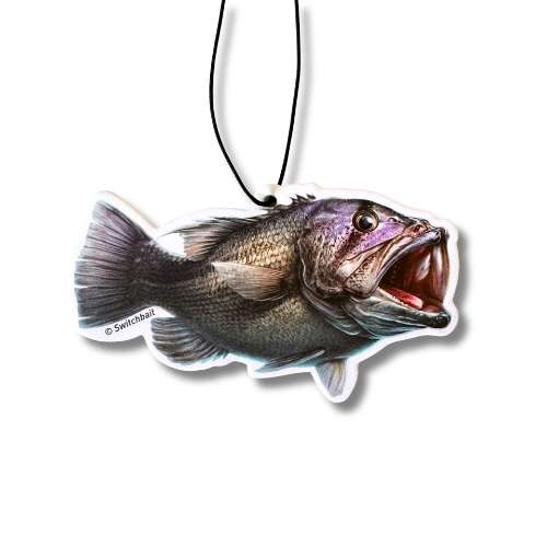 Australian Fish Species Air Fresheners