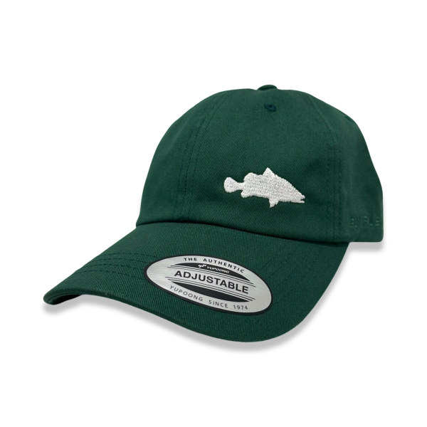 Minimalist Barramundi Low Profile Dad Hat | Black | Green | Navy