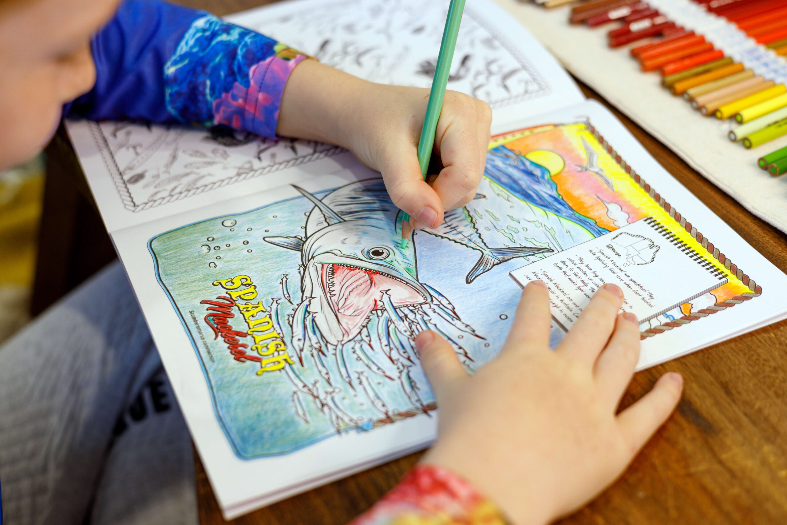 A Very Fishy Colouring Book | An Educational look into Australia’s Favourite Fish Species |Estuary to Ocean Fish - Image 4