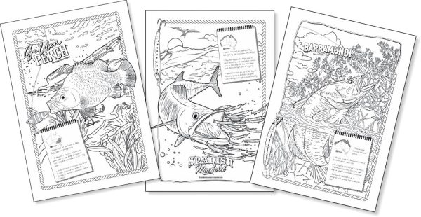 A Very Fishy Colouring Book | An Educational look into Australia’s Favourite Fish Species |Estuary to Ocean Fish