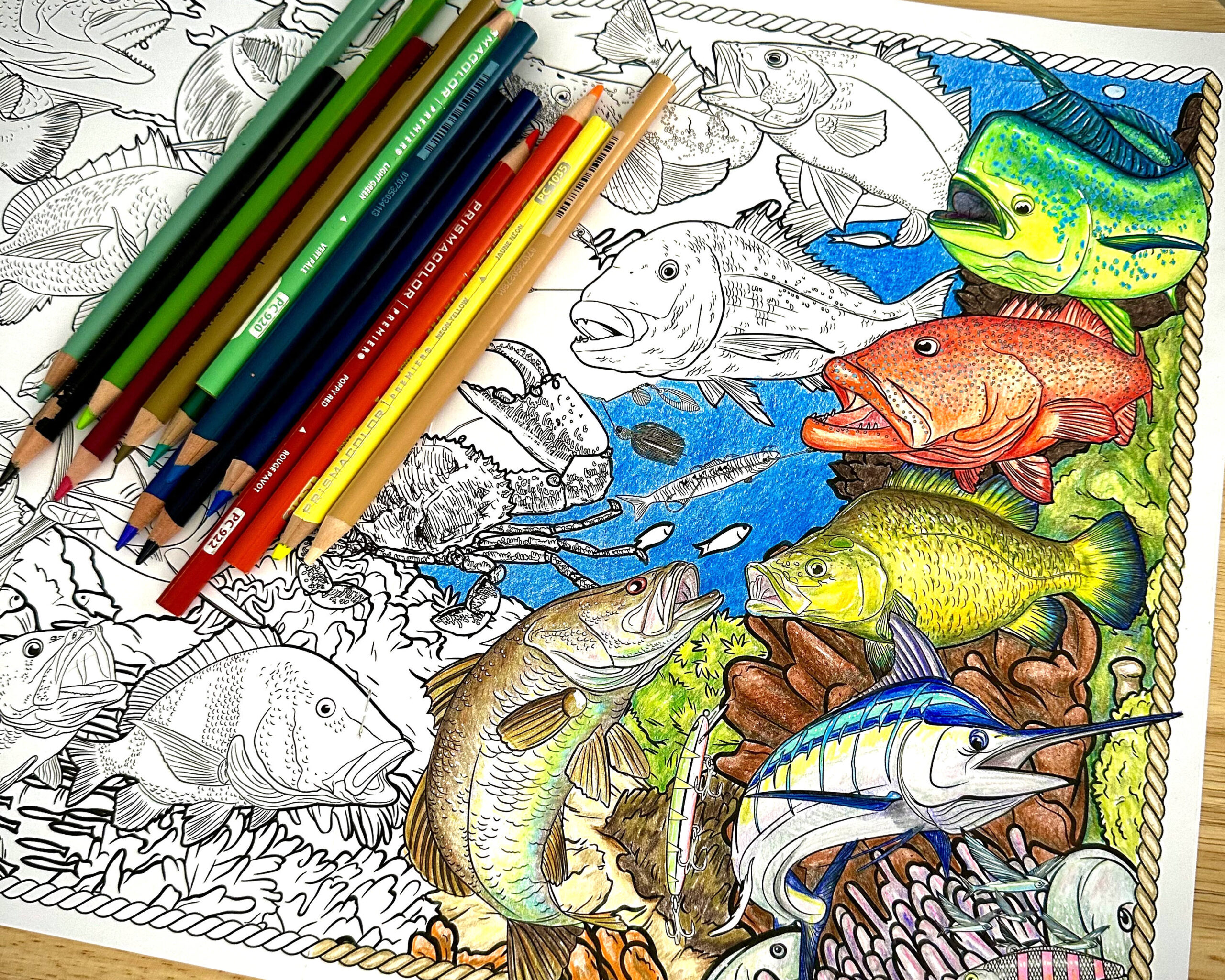 A Very Fishy Colouring Book | An Educational look into Australia’s Favourite Fish Species |Estuary to Ocean Fish - Image 5