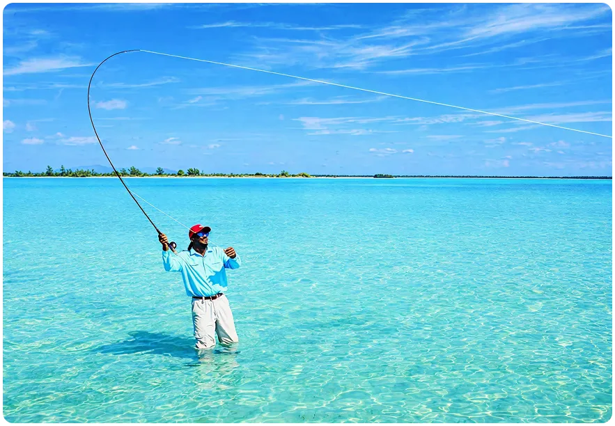 Angler fly fishing inside pristine crystal blue water estuary ecosystem